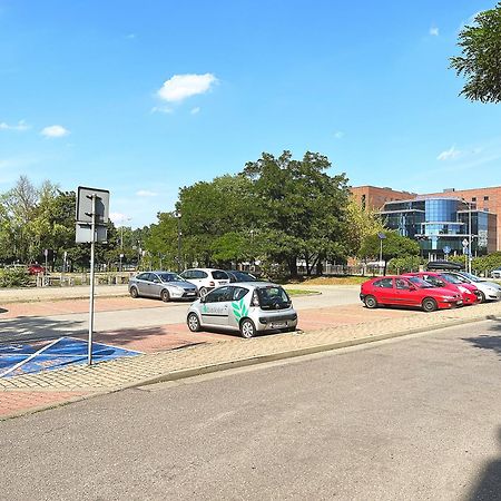 White Apartments - Free Parking Катовице Экстерьер фото